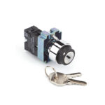 کلید فرمان دو طرفه سوئیچ دار NP2-BG 33 چینت الکتریک